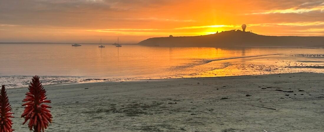 Half Moon Bay: Where Ocean Life Sets the Rhythm