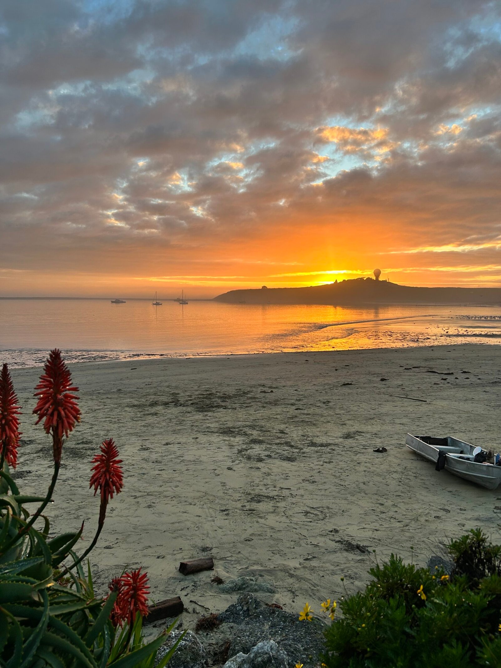 Half Moon Bay: Where Ocean Life Sets the Rhythm